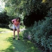 Dlf Perryfields Shade Lawn 10Kg
