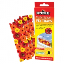 Stv Window Fly Trap 3 Pieces X 6 Packs