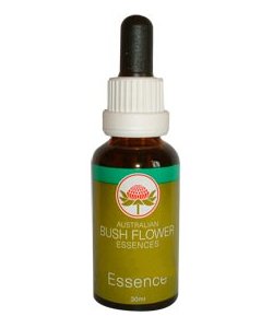 BUSH FLOWER COGNIS 30ML