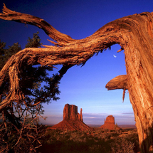 Valley from the Grand Canyon - Adult