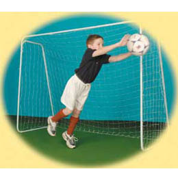 Tournament Soccer Goal