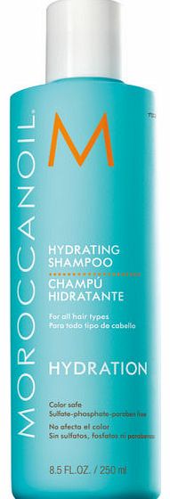 Hydrating Shampoo 250ml