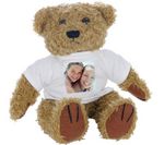 Brown Teddy