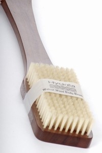 Natural Sea Sponge Walnut Wood Body Brush