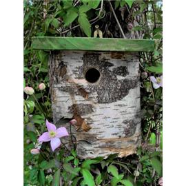 natural Silver Birch Log Tit Box