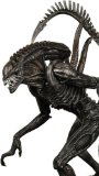 Neca ALIEN VS PREDATOR REQUIEM - SERIES 1 7` Alien Warrior FIGURE