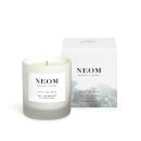 Focus The Mind Standard Scented