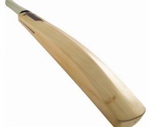 Newbery Training Bat