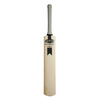 NEWBERY Zeus SPS Cricket Bat