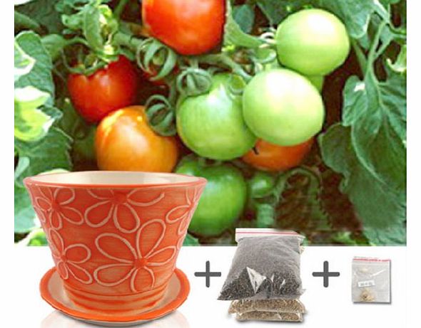 Tomato Indoor House Plants Flower Pot House Gardening