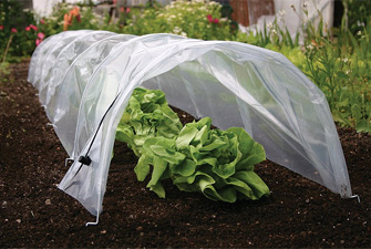 Easy Poly Tunnel