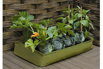 Patio Raised Bed