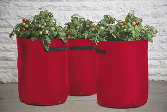 Nigel`s Eco Store Tomato Patio Planter pack of 3