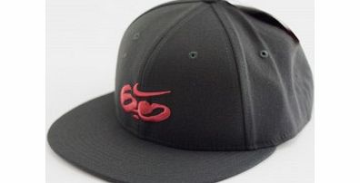 Nike 6.0 Icon Logo Swoosh Cap