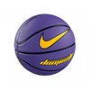 Nike Dominate Basketball