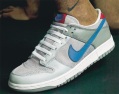 NIKE dunk pr leisure shoe