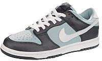 Nike Ladies Dunk Low Pro Training Shoes