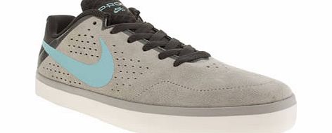 nike skateboarding Light Grey Citadel Lr Trainers