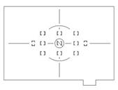 Nikon Type L Focusing Screen For Nikon F6