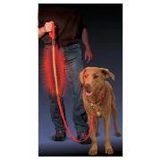 LED Dog Leash