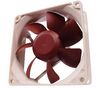 NOCTUA NF-R8-1800 Case fan