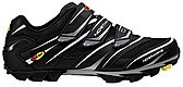 Lizzard black 2008