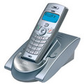 D1300 DECT