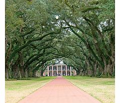 Alley Plantation Tour - Child