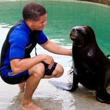 World Sealion Encounter - Adult