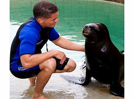 World Sealion Encounter - Child