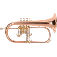 OFG1300 Premiere Flugel Horn