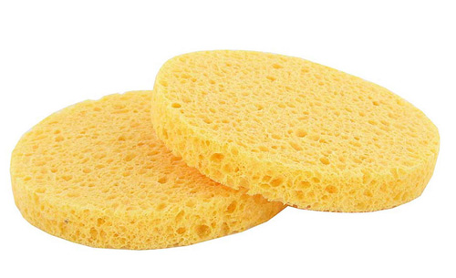 Complexion Sponge