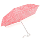 Rainbow Umbrella