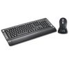 OMEGA OKM064US wireless Qwerty keyboard and USB 2.0