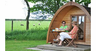 Night Super Pod Camping Break at Woodovis Park