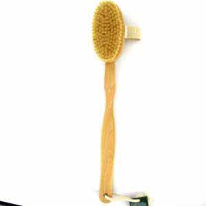 Natural Bristle Back Brush