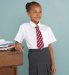 Other 3 Non-Iron Short Sleeve Blouses