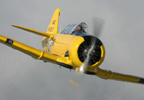 50 Minute Warbird Flight