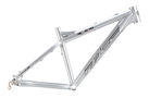 RC305 2009 Mountain Bike Frame