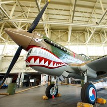 Aviation Museum & USS Arizona Tour - Child