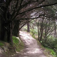 Palliser Bay and Lord Of The Rings Day Tour