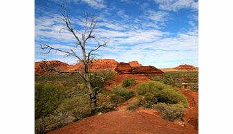 PALM Valley 4WD Outback Safari - Child