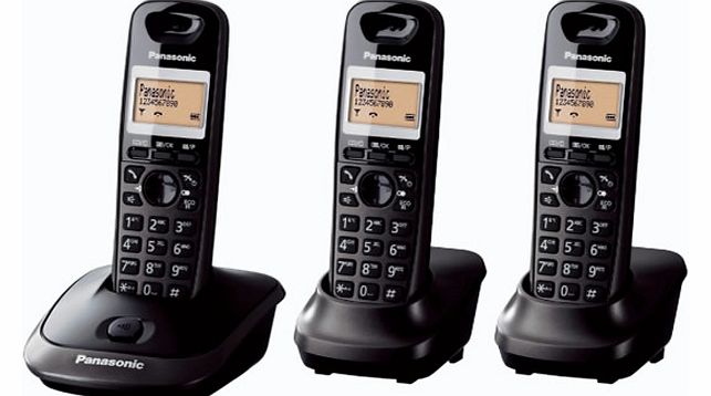 Panasonic KX-TG2513ET