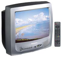 PANASONIC TX14B4T