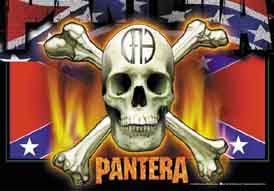 Pantera Confederate Textile Poster