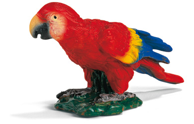 Parrot Red