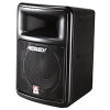 Impulse 100P 10 2-Way Full Range Powered