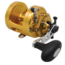 International Torque Big Game Reel - TRQ300