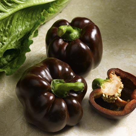 Pepper Ingrid (Pepper) 8 Seeds