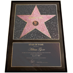 Star of Fame - Star of Fame